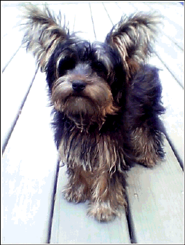 dorothy 4 months old revised 31.png